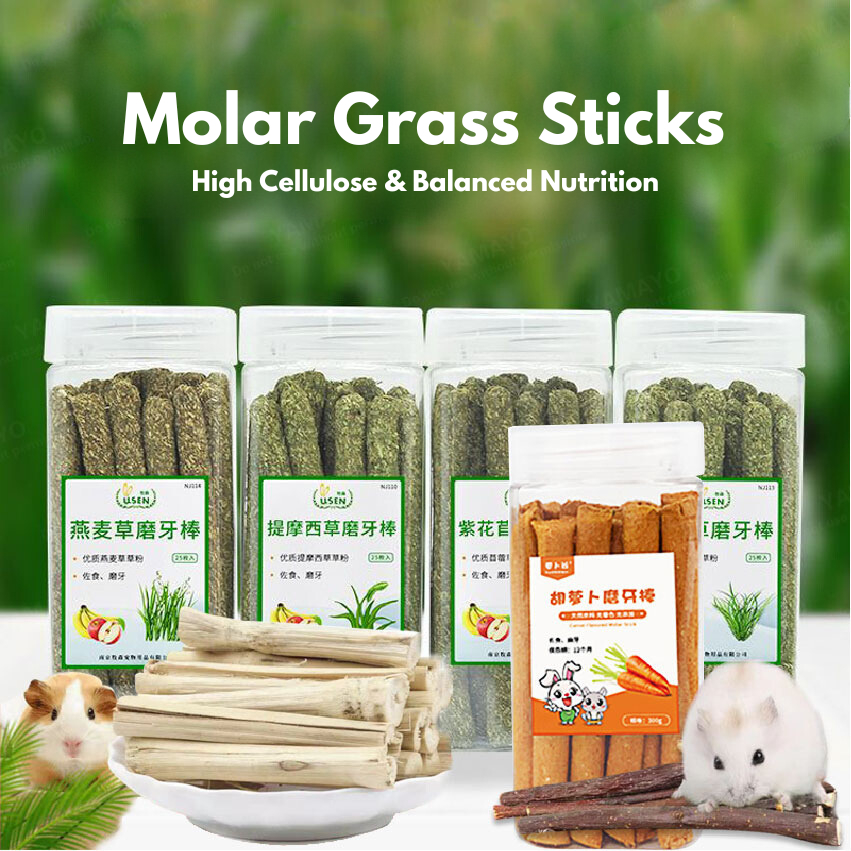 Fresh Crunchy Molar Grass Stick Hamster / Rabbit Chinchilla Pet / Pasture Molar Carrot Timothy Fruit Tree Alfalfa